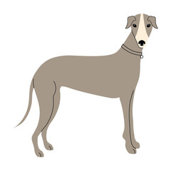 greyhound dog mascot