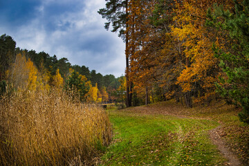 Scenic Autumn Forest Path with Vibrant Foliage