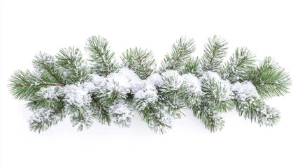 Fototapeta premium Snow Covered Pine Branches Festive Winter Decor Christmas Decoration Holiday Season
