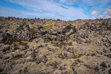 Moss Lava field in Iceland
