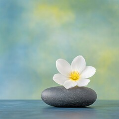 Serenity White Flower on Grey Stone.