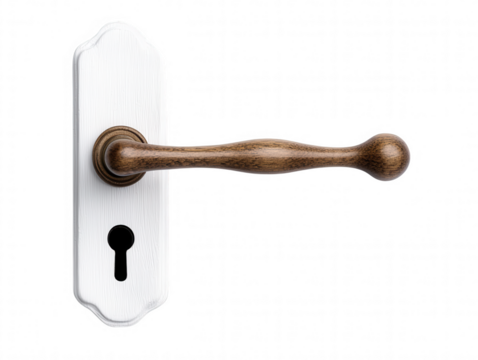 Animated Digital Door Handle with Key Inserted Midway Illustration
