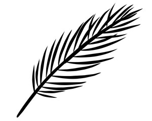 Fototapeta premium palm tree leaf vector illustration. simple black line art.