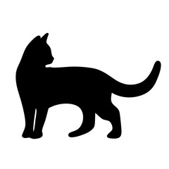 black cat silhouette