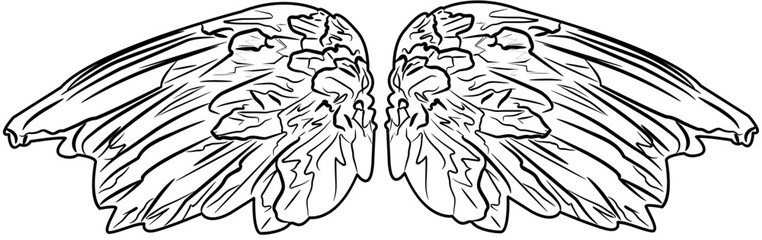 Angel Wings outline
