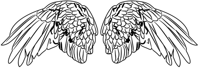 Angel Wings outline