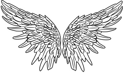 Angel Wings outline