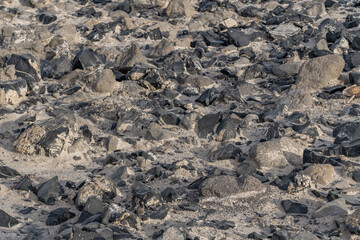 Obsidian Butte on the south shore of the Salton Sea. Calipatria, Imperial County, California. The Salton Buttes lie within the Salton Sea Geothermal Field. Rhyolite. dry lake bed.