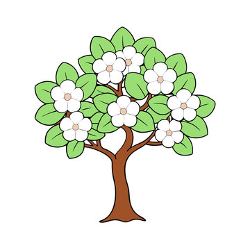 blooming tree with white flowers and green leaves clip art preview