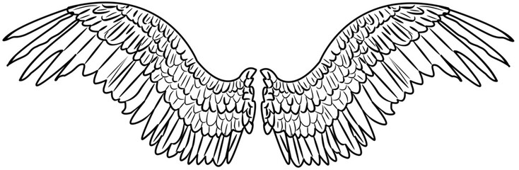 Angel Wings outline