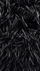 Obraz premium A close-up view of black textured fibers resembling fur or grass.