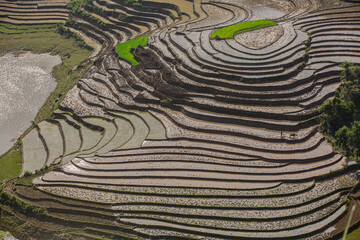 Plowing the fields for the new rice crop in Bat Xat,Lao Cai, this is manual and hard work. Photo...