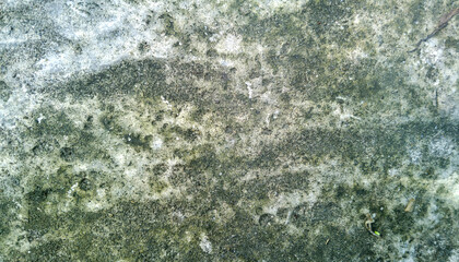 White wall texture background, paper texture background