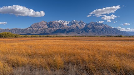 Golden Grass Steppe and Distant Mountains
