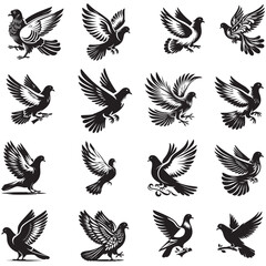Pigeon flying silhouette in the sky vector.  Set of pigeon silhouette, vector illustration