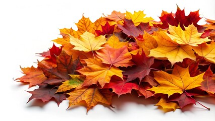 Pile of Colorful Autumn Maple Leaves Isolated on White Background with Copy Space for Fall-Themed Designs, Seasonal Decor, and Nature-Inspired Creativity