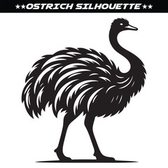 Ostrich black silhouette Vector illustration. Isolated white background.