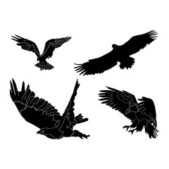 Silhouettes of birds doodle set. Black collection design animal cartoon for nature. Element graphic drawing sketch and isolated white background. Abstract decoration symbol