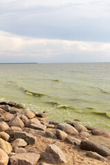 Waves gently break against the rocky shoreline, with vibrant green, flower-filled waters adding a touch of life. A serene summer coastline showcases the beauty of nature in a calm and tranquil setting