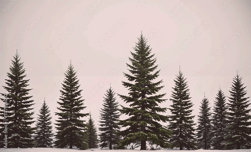 Poster A row of pine trees are lined up in a forest. The trees are tall and green, and the sky is cloudy. The scene has a peaceful and serene atmosphere, with the trees standing tall and proud