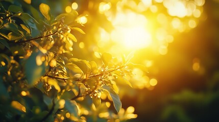 Bright Summer Background with Flare Light and Warm Sun Glow