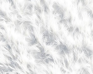 Fototapeta premium A soft, fluffy texture resembling white fur or fibers, creating a cozy visual effect.