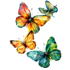 Beautiful butterfly picture
