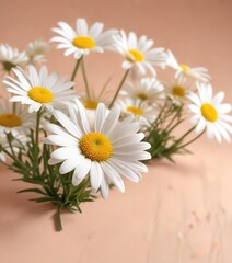 Obraz premium delicate daisy flowers on soft peach background, gentle, small, blossoms