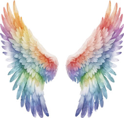 Obraz premium A rainbow colored angel wings on a white background