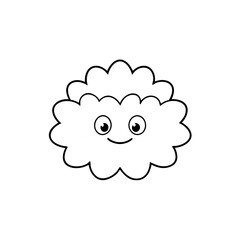 dusty miller vector illustration