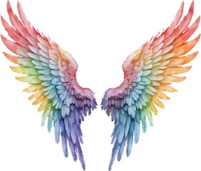 Fototapeta premium An image of a rainbow colored wing on a white background