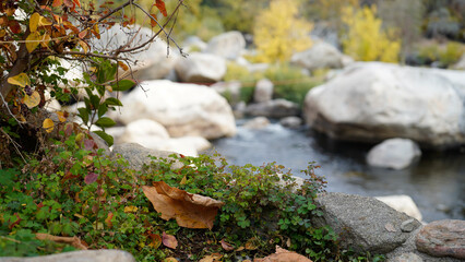 Scenic Nature Views at Case Mountain, Three Rivers, CA