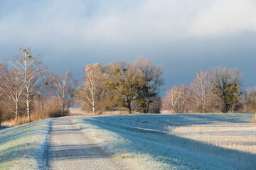road in the winter