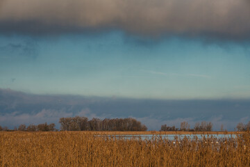 Misty morning at the lake