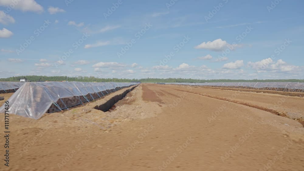 Poster peat drying field under open sky, with large stacks prepared for use under open blue sky