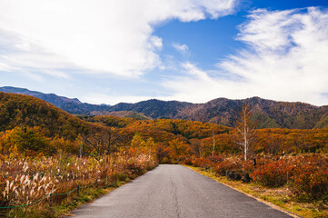 紅葉の景色　乗鞍高原