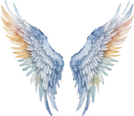 Obraz premium Watercolor angel wings isolated on white background