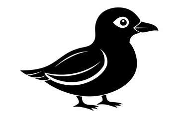 Little Auk Bird Silhouette Clipart - Dovekie Vector Illustration in black and white,Little Auk Bird Silhouette,Little Auk Bird Icon On White Background.