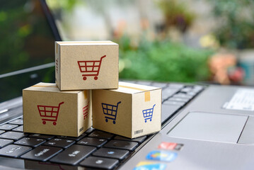 E-commerce and online shopping, products handling and delivery services : The cardboard boxes with...