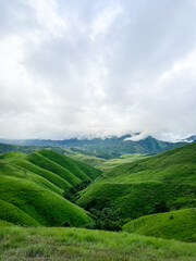 The beautiful mountiane grass at Phu Hua Lon, Xaysomboun Province, Lao PDR. tourism of laos.