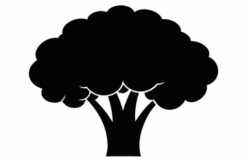 Broccoli silhouette black and white vector illustration ,Cartoon vegetable broccoli silhouette icon.