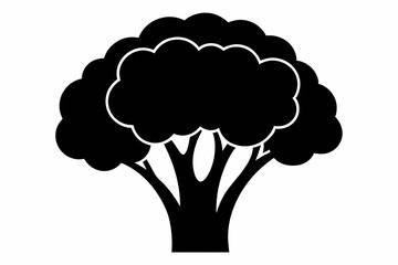 Broccoli silhouette black and white vector illustration ,Cartoon vegetable broccoli silhouette icon.