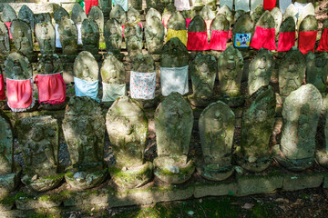 Fototapeta premium 木漏れ日の二百地蔵