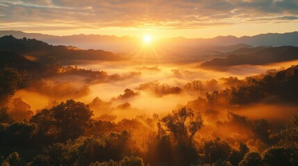 Breathtaking Sunrise Over Misty Mountain Valley, Radiating Warmth and Serenity with Golden Light Illuminating the Lush Green Landscape and Rolling Hills