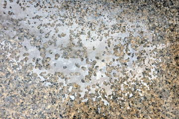 Abstract texture and form on grunge floor