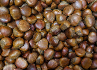 A pile of loose raw Chestnuts in a grocery store in New Jersey.  