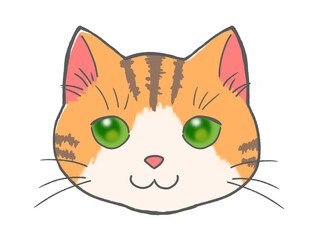 ハチワレ猫の顔 茶トラ模様