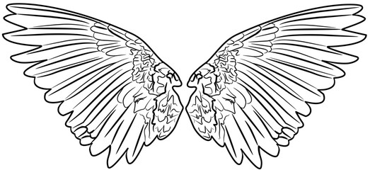 Obraz premium Angel Wings coloring with white color