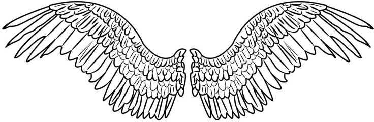 Angel Wings coloring with white color