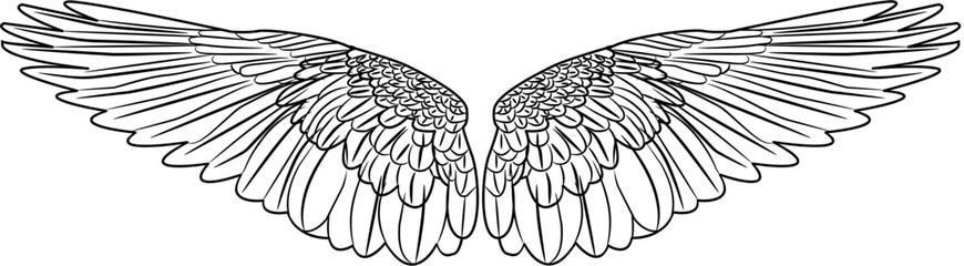 Angel Wings coloring with white color